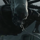 Illustration for article titled The Bitch is Back in the New iAlien: Covenant/i Trailer